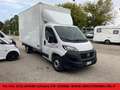 Fiat Ducato 35 2.2 Mjt 140CV Maxi Bianco - thumbnail 1