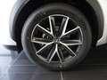 Lexus LBX LBX Hybrid Emotion Argento - thumbnail 8