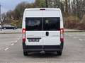 Citroen Jumper 2.2 HDI L2H2 9-SITZER AHK TÜV/AU NEU Blanco - thumbnail 10
