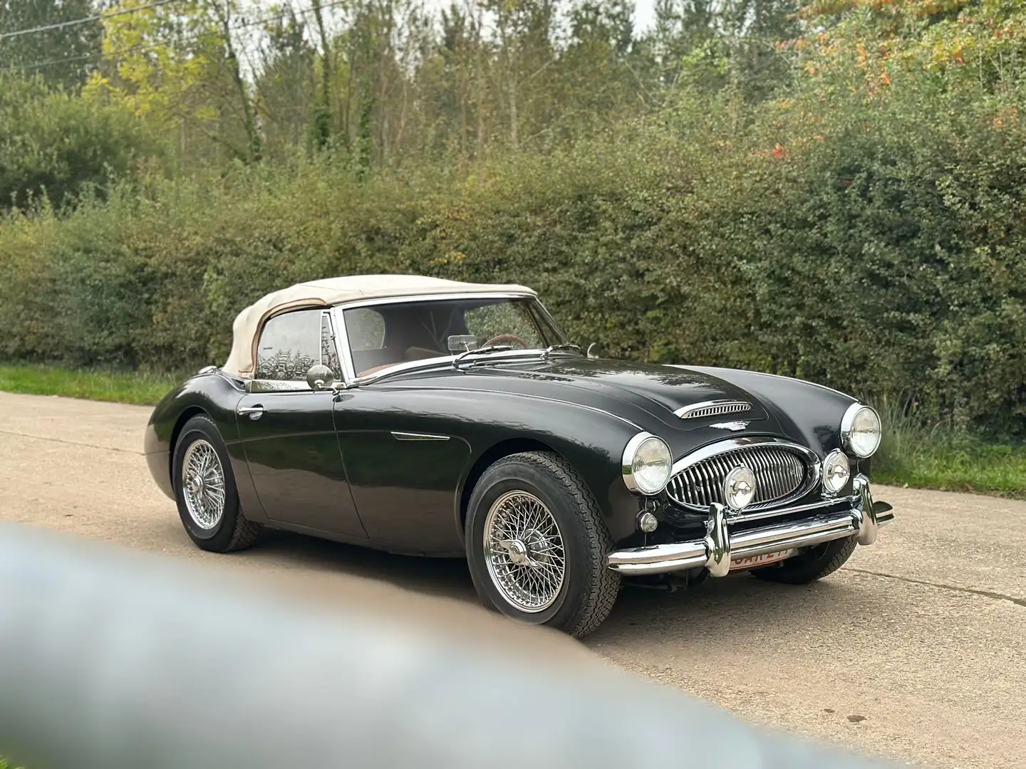 Austin-Healey 3000 mkII BJ7 Серый - 1