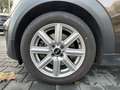 MINI Cooper S Cabrio Automatik / LEDER / KLIMA / ALU Braun - thumbnail 24
