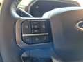 Ford F 150 Lightning 98kWh XLT: AT-Zulassung, CCS, EU-Navi Blau - thumbnail 22