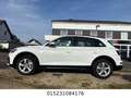 Audi Q5 50 TFSI e quattro Automatik+Digital T+Nav+LED Weiß - thumbnail 2