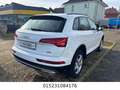Audi Q5 50 TFSI e quattro Automatik+Digital T+Nav+LED Weiß - thumbnail 7