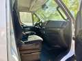 Iveco Daily 35C18 L3H2 - Diff.-Sperre/Zwillingsreifen Weiß - thumbnail 6
