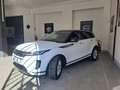 Land Rover Range Rover Evoque Range Rover Evoque 2.0D I4 163 CV AWD Auto SE Blanco - thumbnail 21