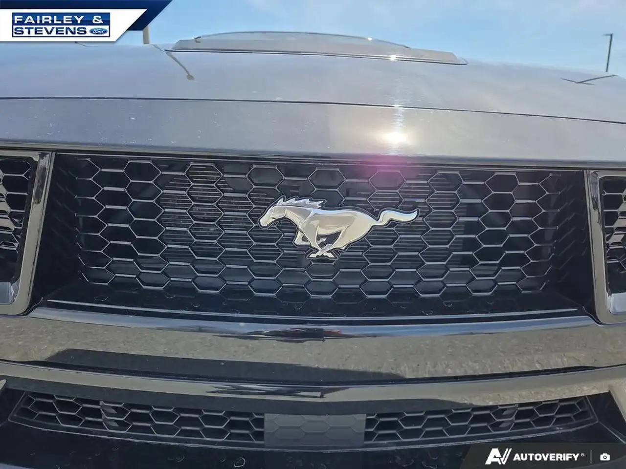Ford Mustang снимка Ford Mustang