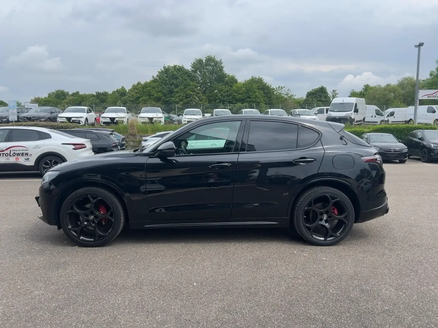 Alfa Romeo Stelvio 2.0 Turbo 16V Competizione Q4 (EURO 6d) - 2