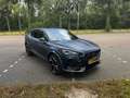 CUPRA Formentor TDI Blauw - thumbnail 9