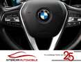 BMW 320 d xDrive Luxury Line |Dig.Cock.|HarmanK.|ACC Grau - thumbnail 16