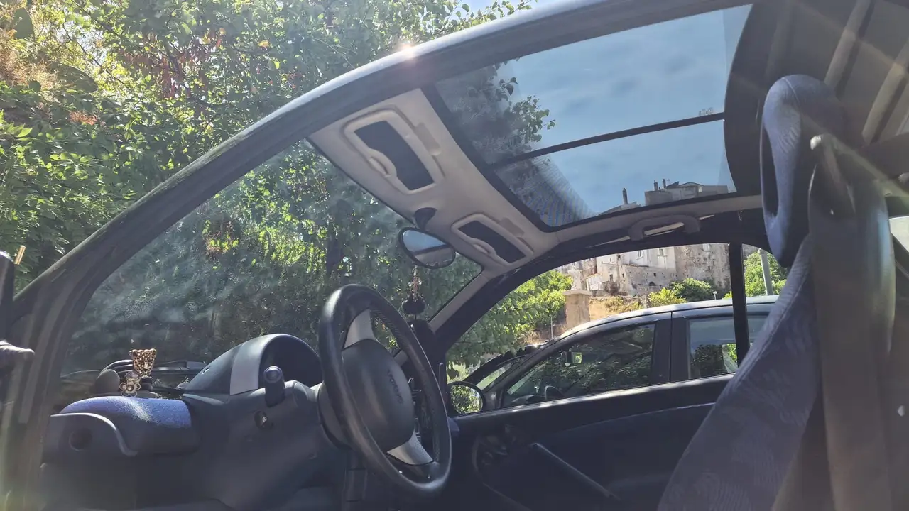 smart forTwo 0.8 cdi Smart&Passion, foto 7