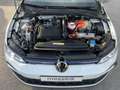Volkswagen Golf VIII 1.4 eHybrid GTE (EURO 6d) AHK Navi ACC Weiß - thumbnail 13