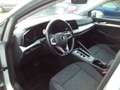 Volkswagen Golf VIII Lim. Life Automatik Alu Tempomat Argent - thumbnail 7