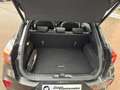 Ford Puma ST-Line X | Panorama | FahrerAss. | Massagesitz Grau - thumbnail 7