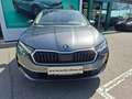 Skoda Octavia Selection TDI DSG Grau - thumbnail 2