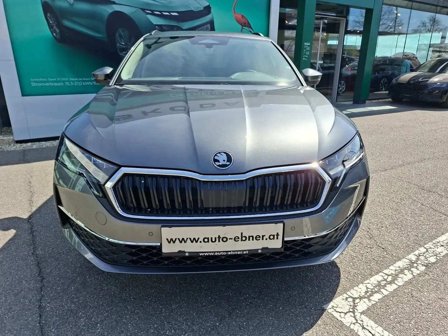 Skoda Octavia Selection TDI DSG Grau - 2