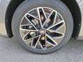 Skoda Octavia Selection TDI DSG Grau - thumbnail 6
