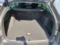 Skoda Octavia Selection TDI DSG Grau - thumbnail 7