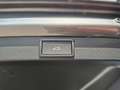 Skoda Octavia Selection TDI DSG Grau - thumbnail 8