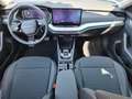 Skoda Octavia Selection TDI DSG Grau - thumbnail 14