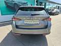 Skoda Octavia Selection TDI DSG Grau - thumbnail 5
