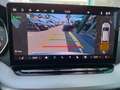 Skoda Octavia Selection TDI DSG Grau - thumbnail 15