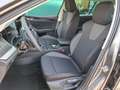 Skoda Octavia Selection TDI DSG Grau - thumbnail 12