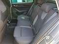 Skoda Octavia Selection TDI DSG Grau - thumbnail 13