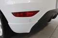 Ford Fiesta 1.6 Metal - 135PK, Parkeensensor, Stoelverwarming Blanc - thumbnail 31