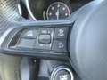 Alfa Romeo Stelvio Stelvio 2020 2.2 t Executive Q4 190cv auto Grau - thumbnail 12
