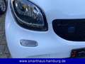 smart forTwo coupé EQ 22kW COOL AUDIO 22kW Lader Weiß - thumbnail 7
