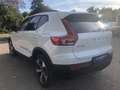 Volvo XC40 B4 Plus Dark Panoramadach  Plus Dark Weiß - thumbnail 5