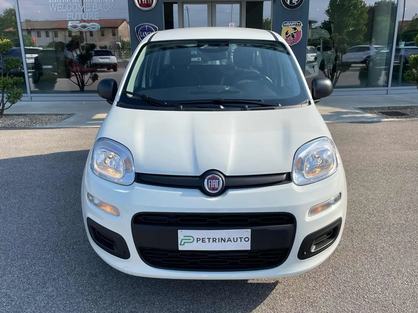 Fiat Panda 1.0 FireFly S&S Hybrid KM0 MY25 Blanco - 2