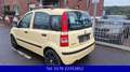 Fiat Panda 1.2 8V MyLive-Klima-Alufelgen-5Türer Jaune - thumbnail 11