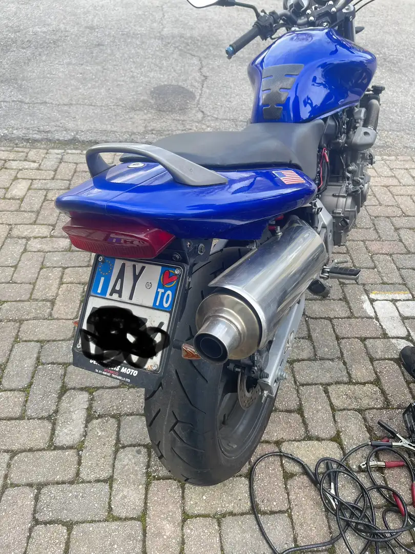 Honda Hornet 600 Bleu - 2