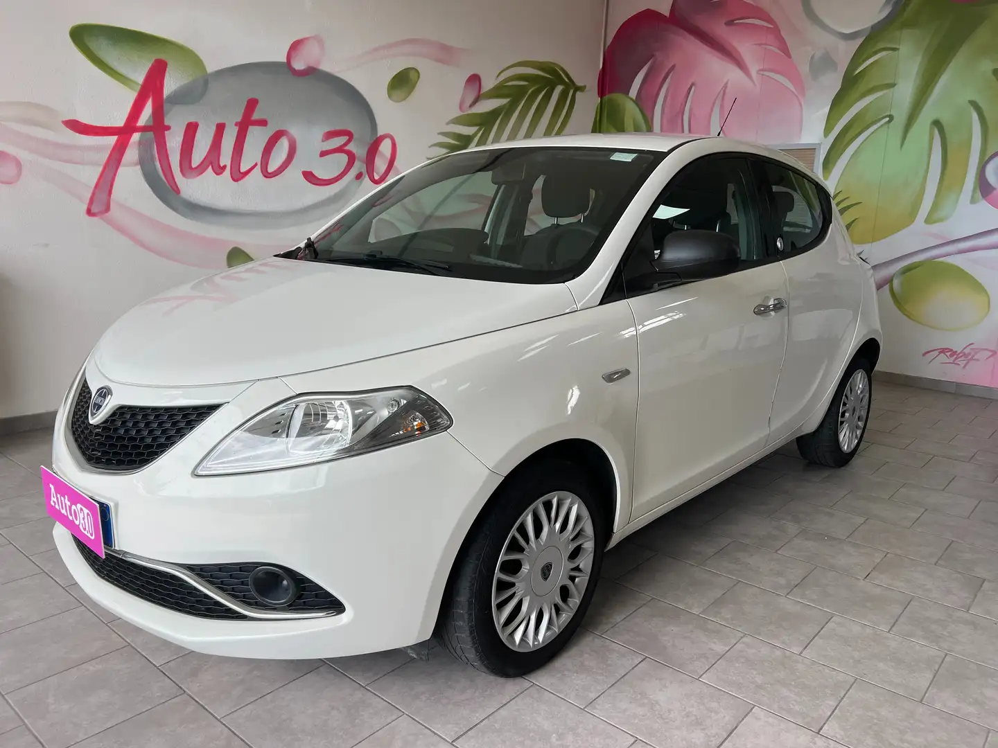 Lancia Ypsilon Ypsilon 1.2 Silver ecochic Gpl 69cv - 1