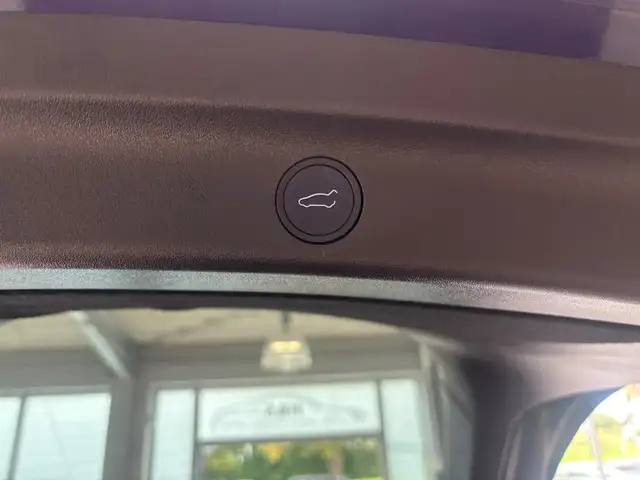 Tesla Model Y view 11