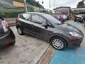 Ford Fiesta 1.4 5 PORTE GPL-TECH BUSINESS 97cv Grau - thumbnail 5