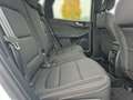 Ford Kuga Plug-In Hybrid Titanium 2.5 Duratec -PHEV EU6d AHK Weiß - thumbnail 12