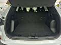 Ford Kuga Plug-In Hybrid Titanium 2.5 Duratec -PHEV EU6d AHK Weiß - thumbnail 5