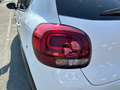 Citroen C3 PureTech 83 S&S MAX Bianco - thumbnail 20