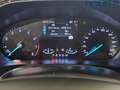 Ford Focus Focus 1.0 EcoBoost 125 CV automatico SW ST-Line Nero - thumbnail 8