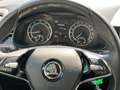 Skoda Kamiq Ambition TSI Weiß - thumbnail 12