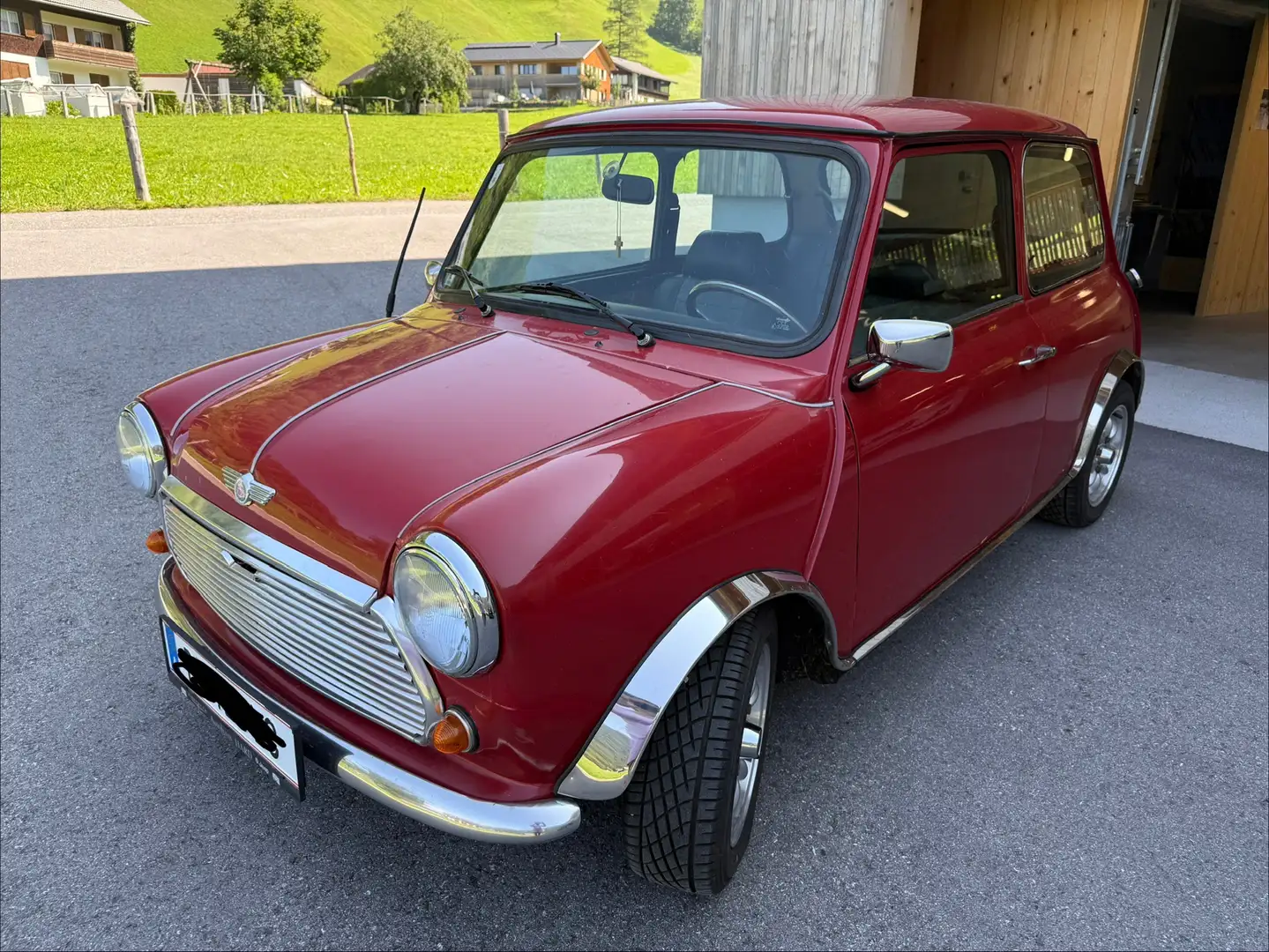 MINI 1000 HL Rot - 1