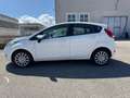 Ford Fiesta Fiesta 1.4 5 porte Bz.- GPL Bianco - thumbnail 8