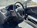 Ford Fiesta Fiesta 1.4 5 porte Bz.- GPL Blanco - thumbnail 21
