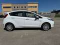Ford Fiesta Fiesta 1.4 5 porte Bz.- GPL Bianco - thumbnail 4