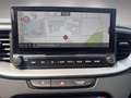 Kia XCeed Silber 1.0 TDI MT6 P1 Grün - thumbnail 11