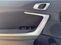 Kia XCeed Silber 1.0 TDI MT6 P1 Grün - thumbnail 15