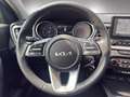 Kia XCeed Silber 1.0 TDI MT6 P1 Grün - thumbnail 8